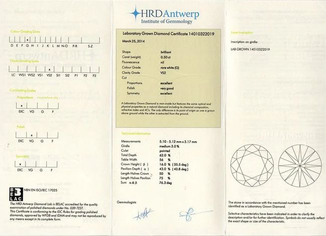 HRD安特卫普