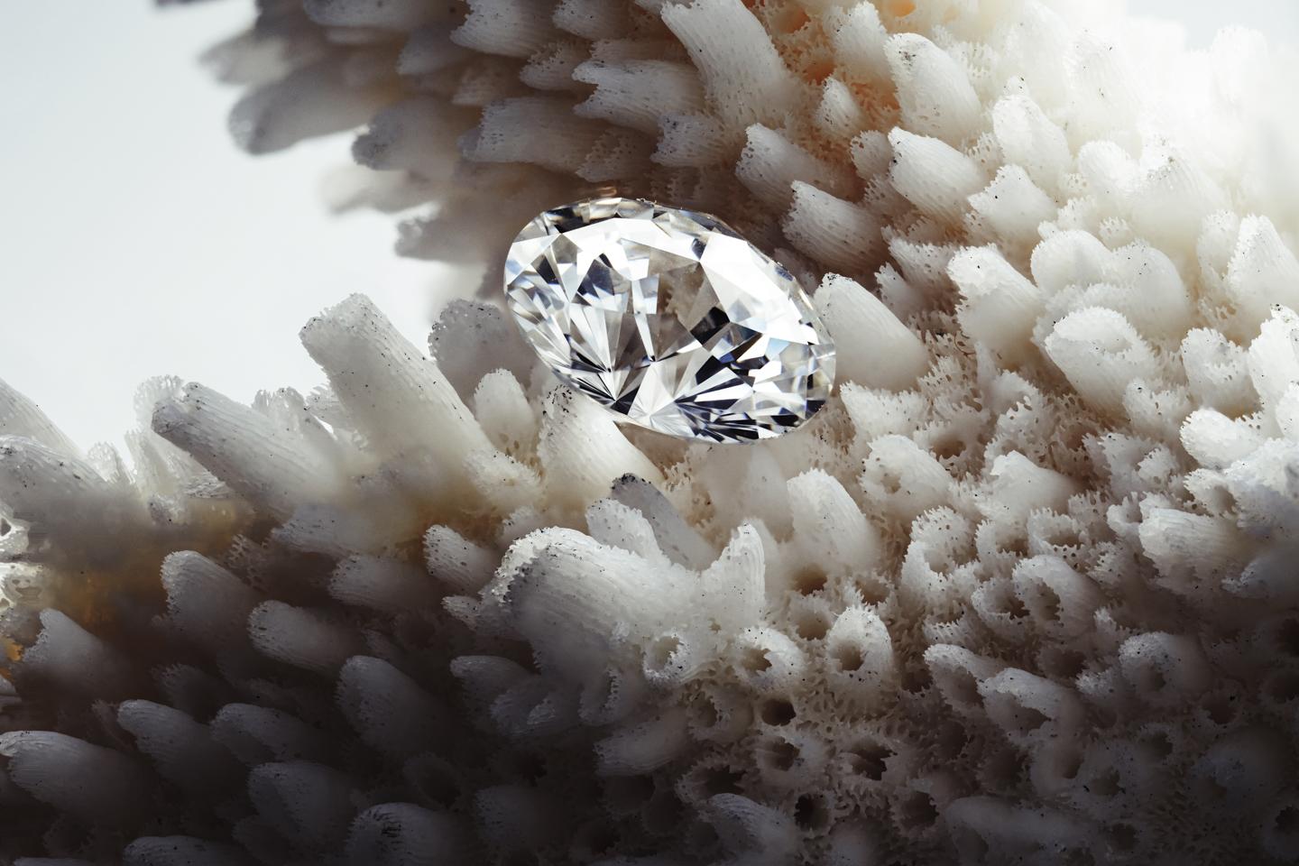 如何正确地挑选一颗培育钻石？